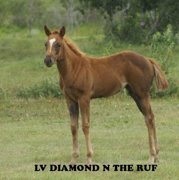 LV DIAMOND N THE RUF